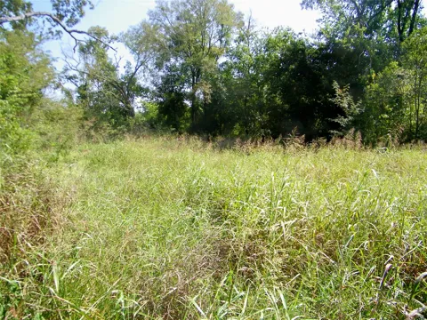 901 Sycamore Loop
