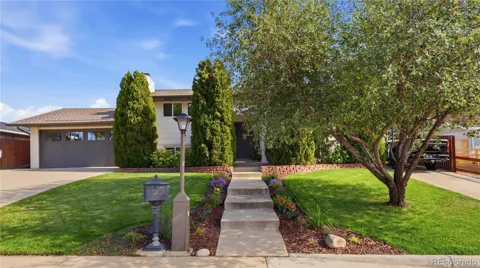 64 Baylor Drive