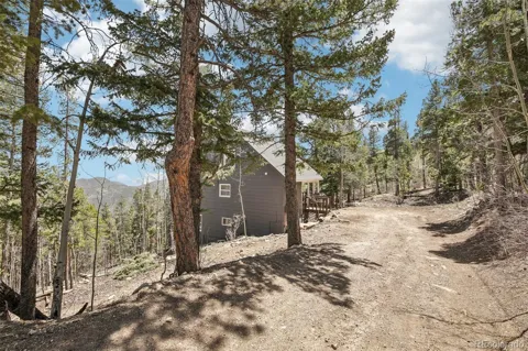 11390 Shimley Road