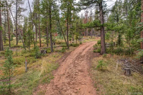 27687 Pine Grove Trail