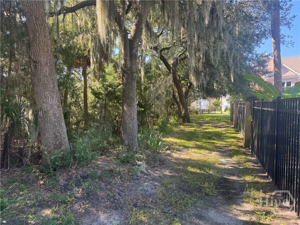 3 Shad Court Savannah, GA 31410
