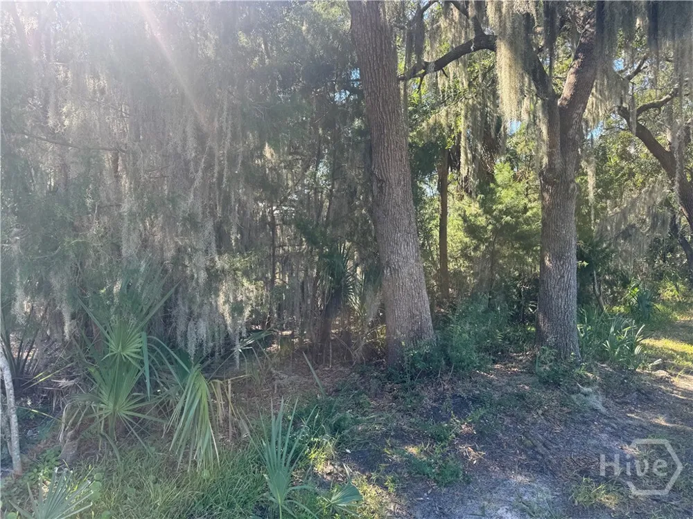 3 Shad Court Savannah, GA 31410