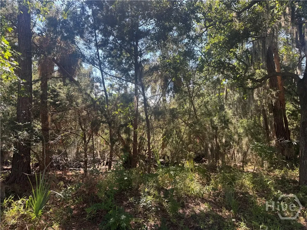 3 Shad Court Savannah, GA 31410