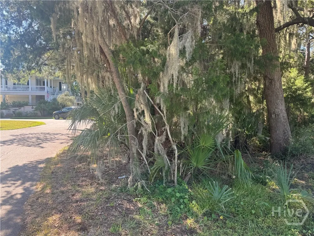 3 Shad Court Savannah, GA 31410