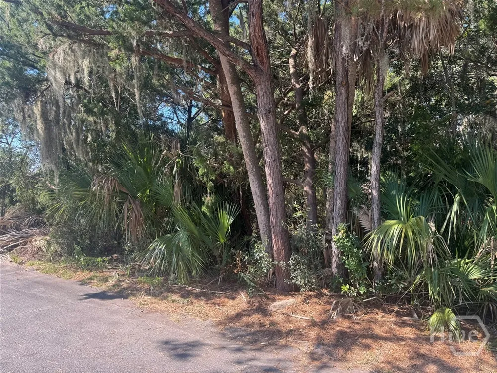 3 Shad Court Savannah, GA 31410