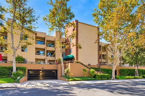 460 Oak Street #215