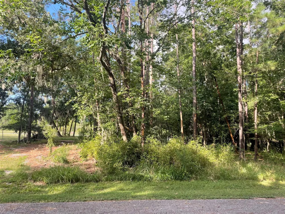 11 Crown Drive Coldspring, TX 77331