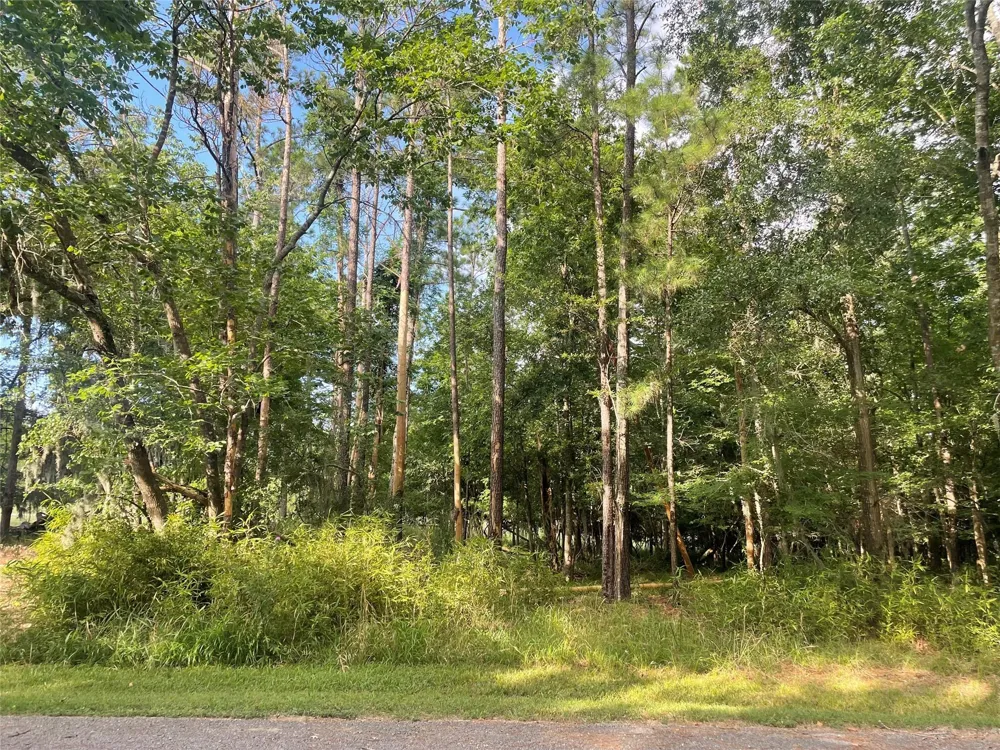 11 Crown Drive Coldspring, TX 77331