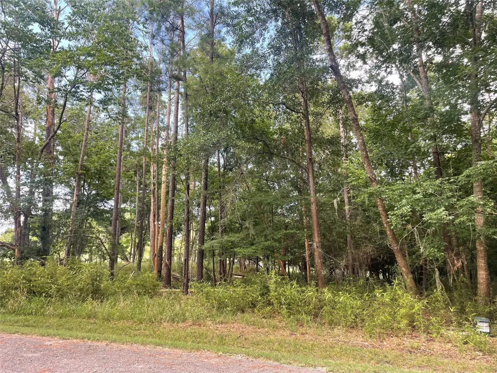 11 Crown Drive Coldspring, TX 77331