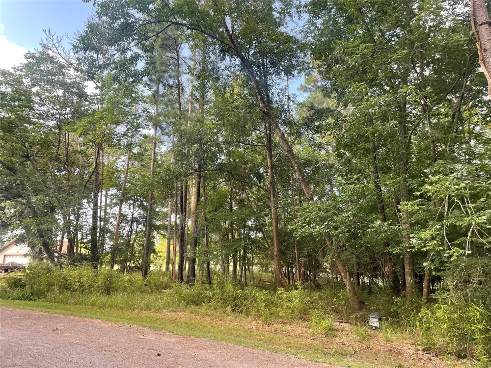 11 Crown Drive Coldspring, TX 77331