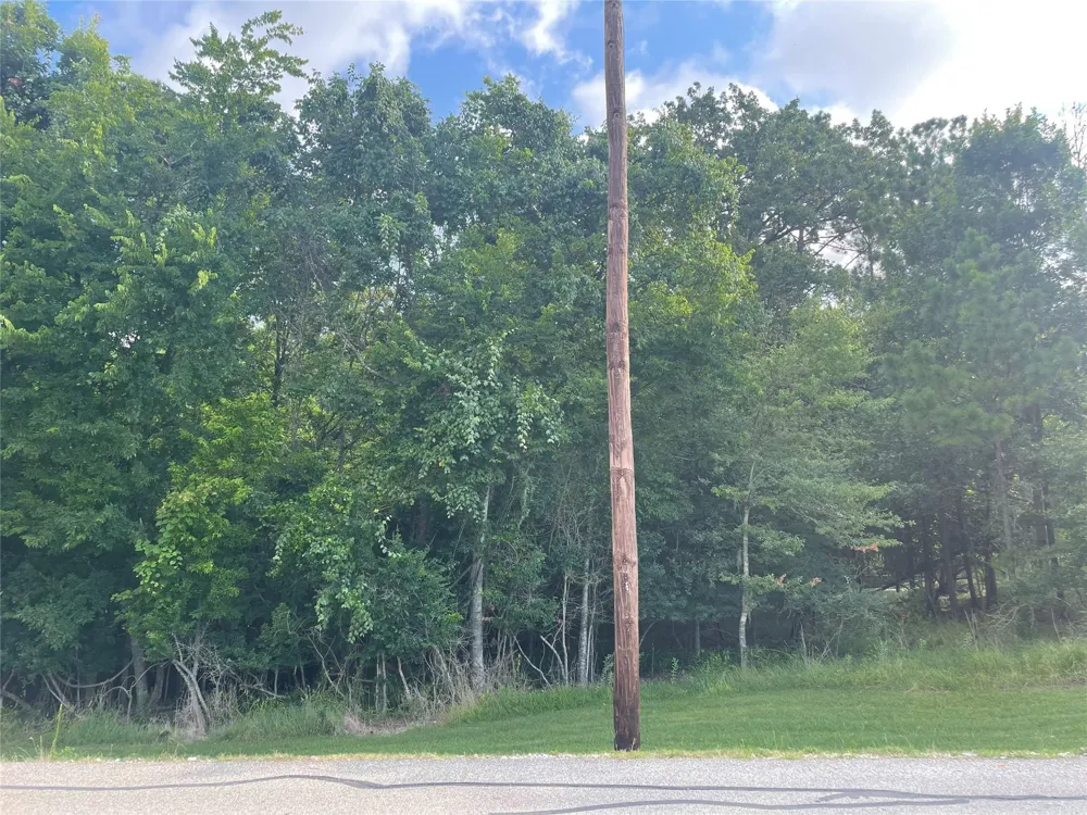 11 Crown Drive Coldspring, TX 77331