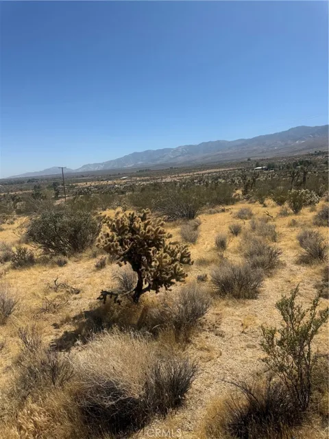 2 Horizon