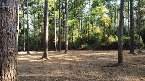 County Road 192 #6