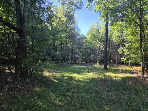 Indian Bay Road #11.5 Acres