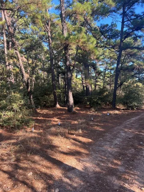 43 Pine Lodge Drive