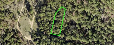 43 Pine Lodge Drive
