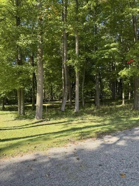 Timberlane Drive