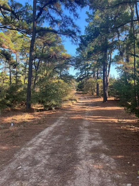 Pine Lodge Drive