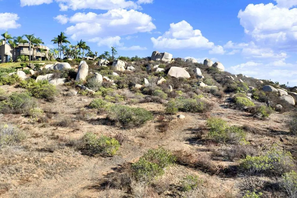 14885 Ufano Drive Jamul, CA 91935