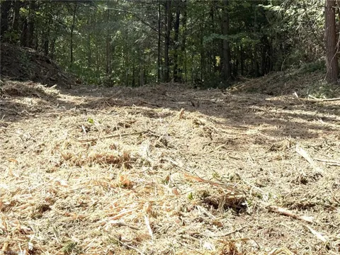 TBD Ridge Run Road
