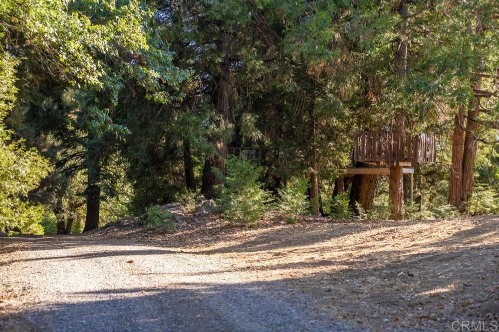 3413 Fern Meadow Road Palomar Mountain, CA 92060