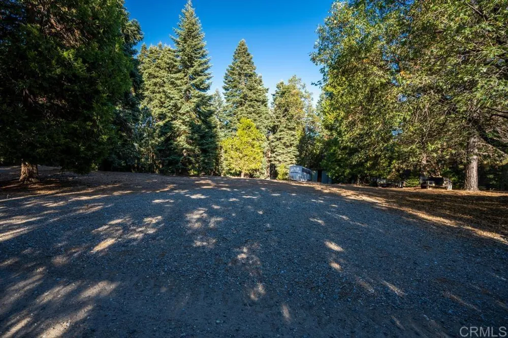 3413 Fern Meadow Road Palomar Mountain, CA 92060