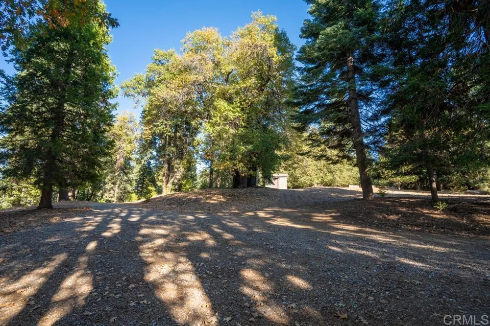 3413 Fern Meadow Road Palomar Mountain, CA 92060