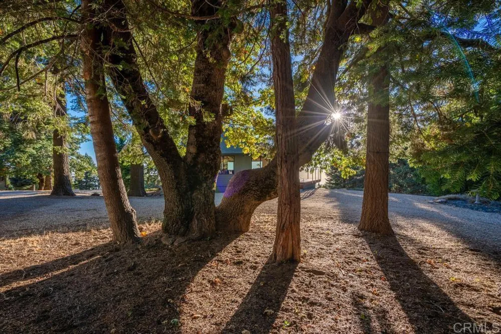 3413 Fern Meadow Road Palomar Mountain, CA 92060