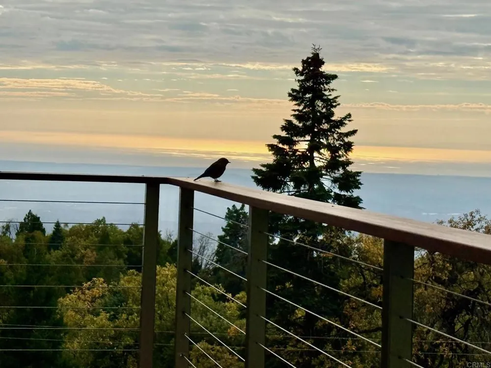 3413 Fern Meadow Road Palomar Mountain, CA 92060
