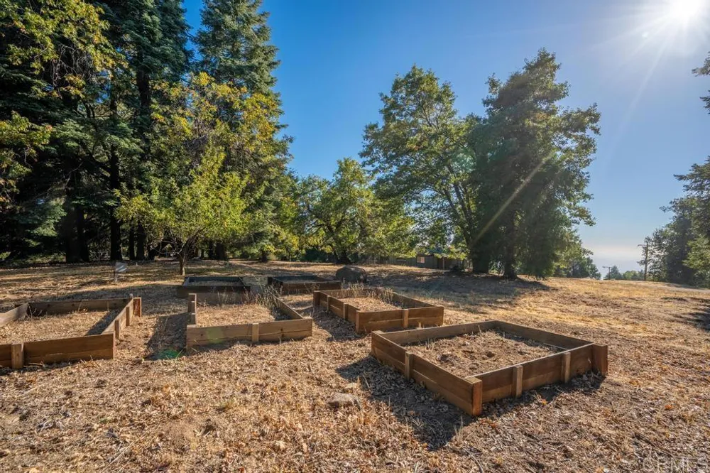 3413 Fern Meadow Road Palomar Mountain, CA 92060