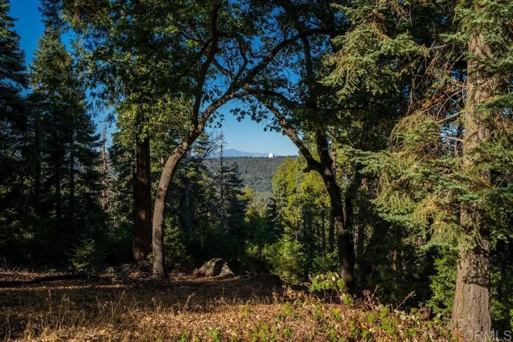3413 Fern Meadow Road Palomar Mountain, CA 92060