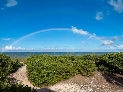 12356 HIGHWAY A1A Highway