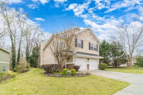 6503 Silk Tree