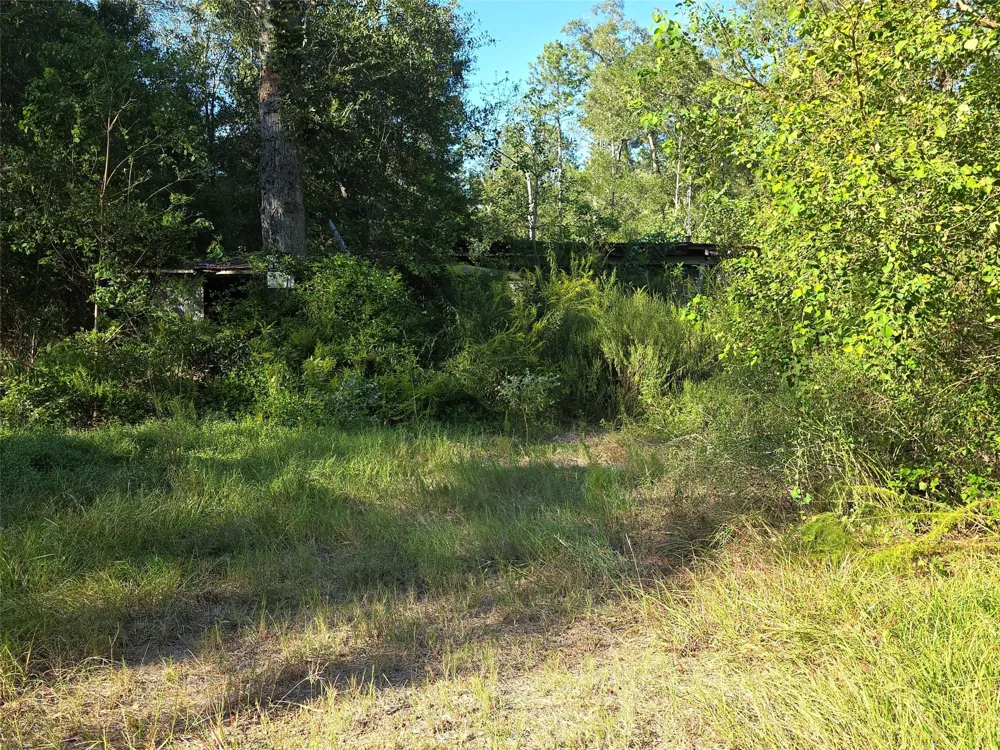 Tidwell Lane Shepherd, TX 77371