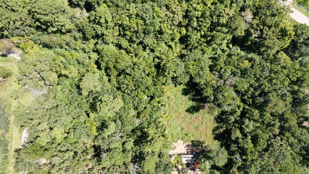 Barfield Drive Shepherd, TX 77371