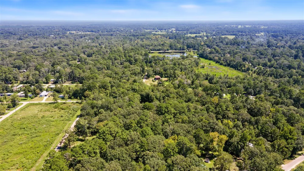 Barfield Drive Shepherd, TX 77371