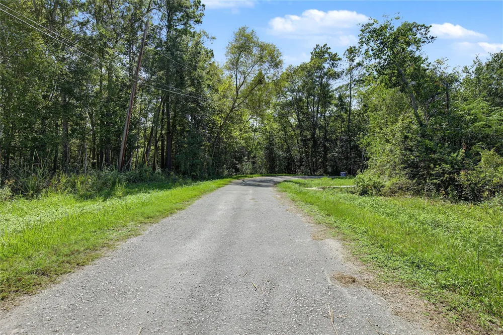 Barfield Drive Shepherd, TX 77371