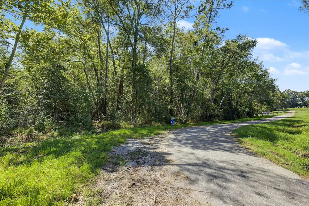 Barfield Drive Shepherd, TX 77371