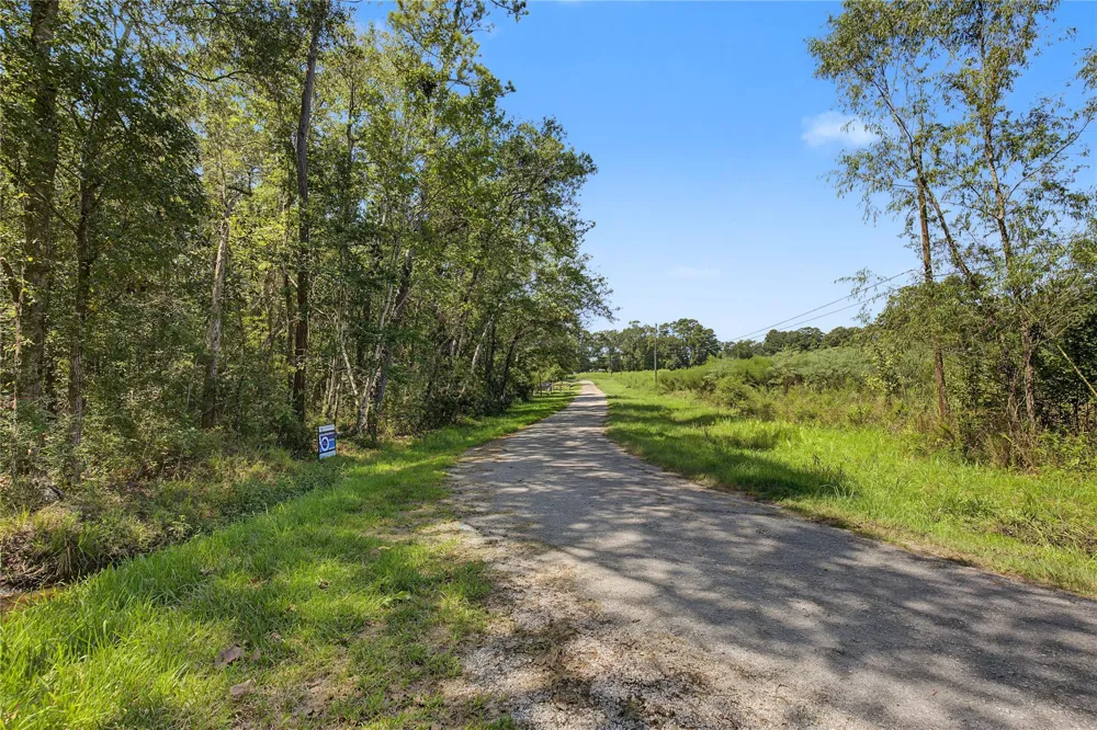 Barfield Drive Shepherd, TX 77371