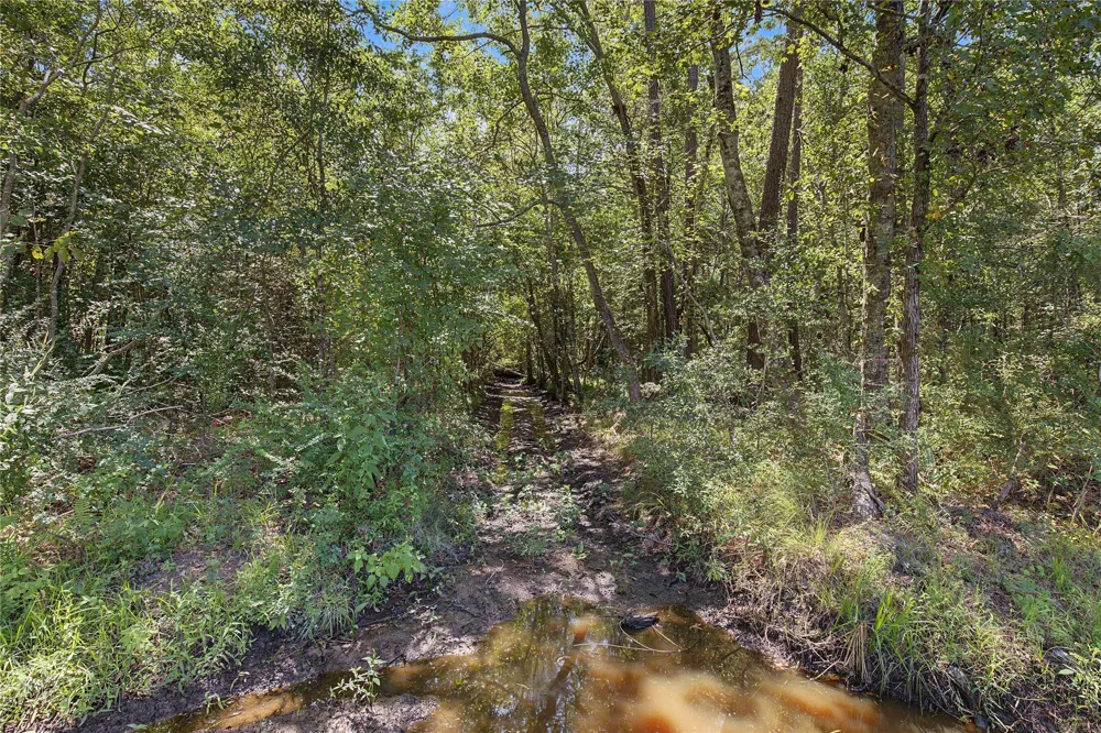 Barfield Drive Shepherd, TX 77371