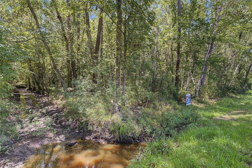Barfield Drive Shepherd, TX 77371
