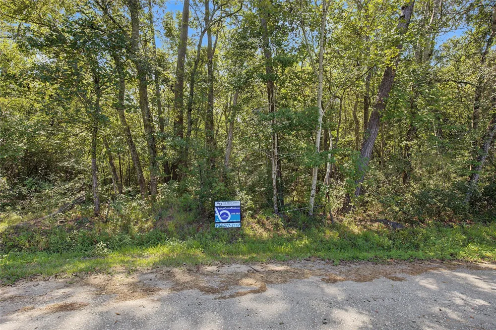 Barfield Drive Shepherd, TX 77371