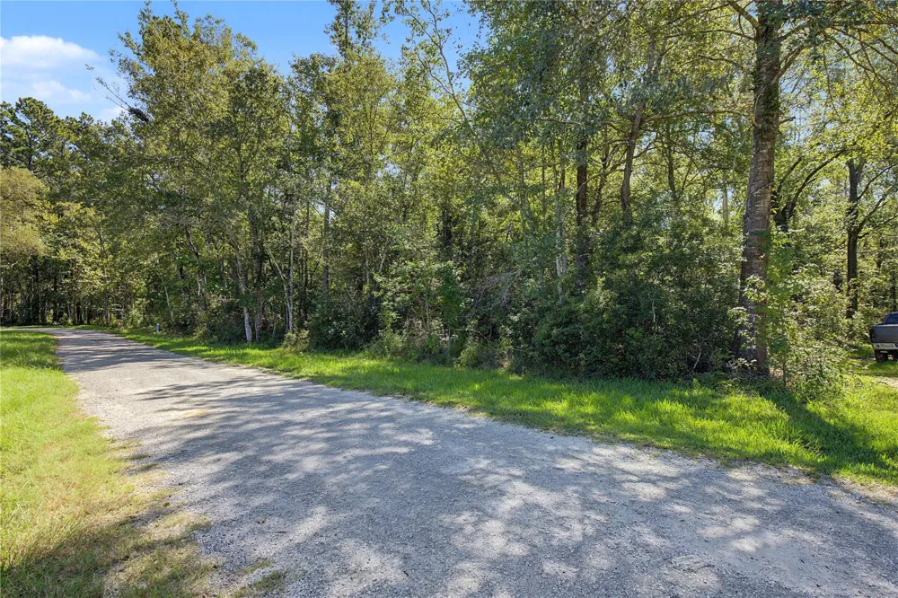 Barfield Drive Shepherd, TX 77371
