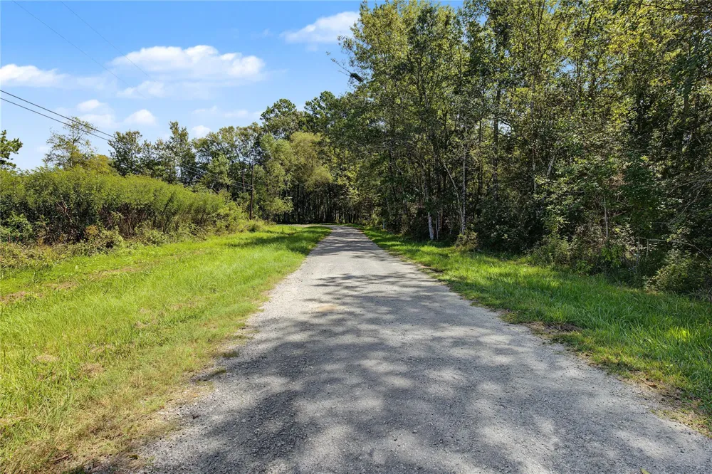 Barfield Drive Shepherd, TX 77371