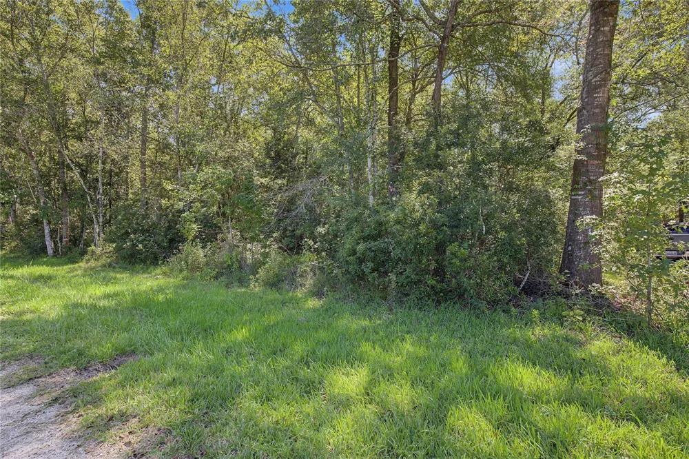 Barfield Drive Shepherd, TX 77371