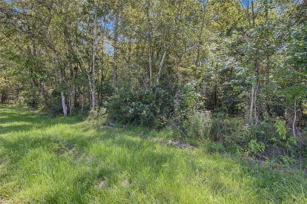 Barfield Drive Shepherd, TX 77371