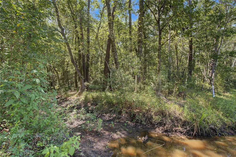 Barfield Drive Shepherd, TX 77371