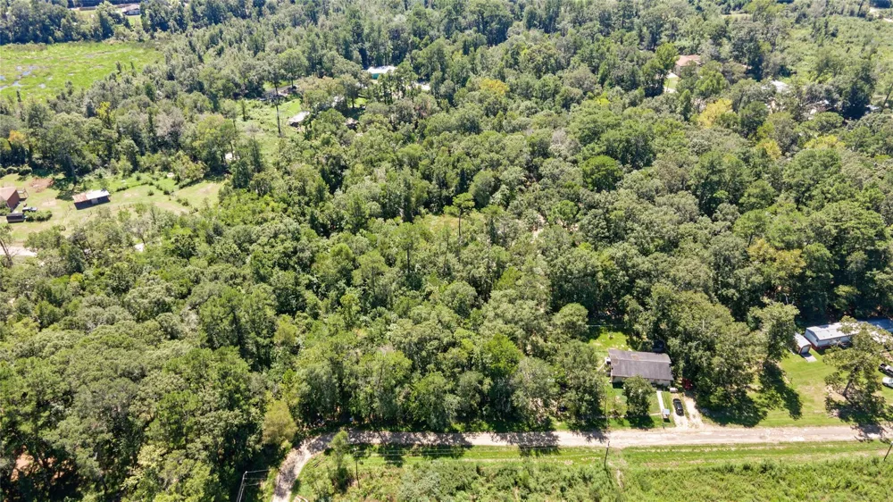 Barfield Drive Shepherd, TX 77371