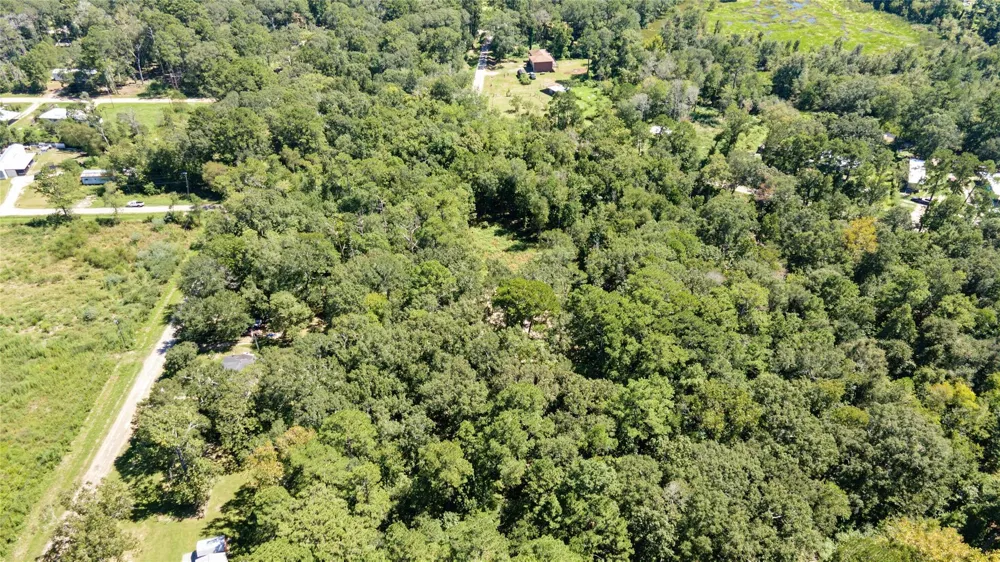 Barfield Drive Shepherd, TX 77371