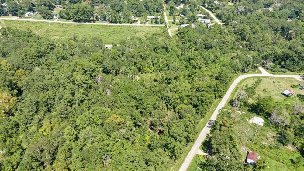 Barfield Drive Shepherd, TX 77371